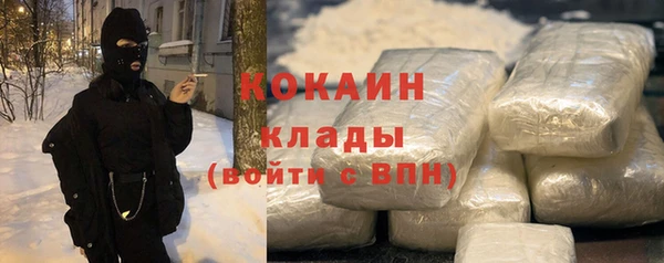 стаф Балахна