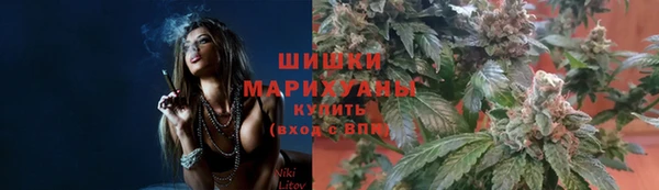 стаф Балахна
