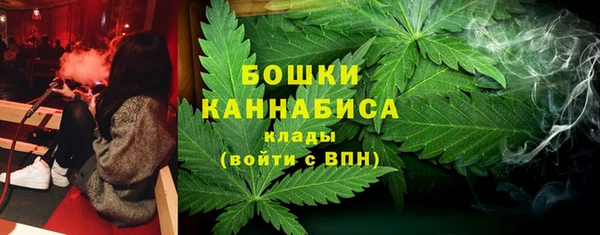 стаф Балахна